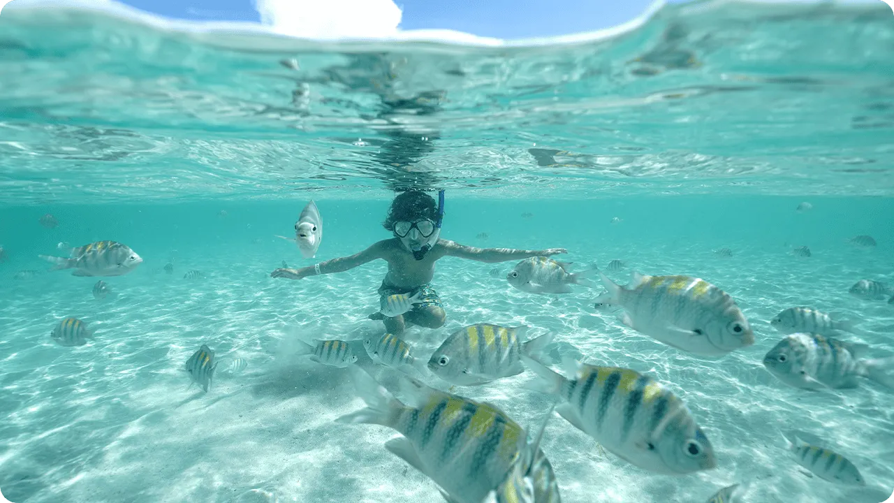 Maceió + Maragogi 5