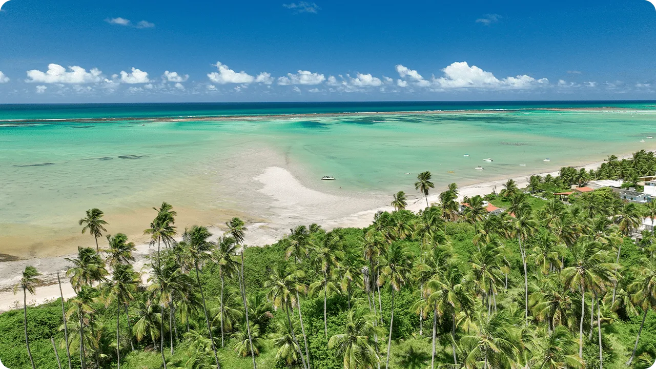 Maceió + Maragogi