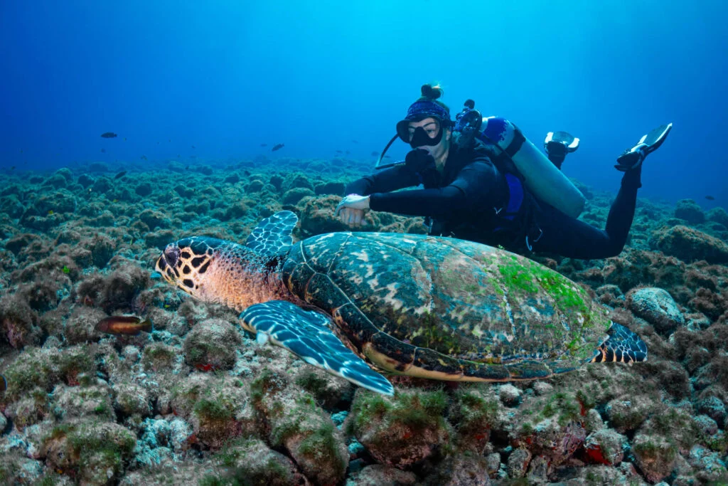 Fernando de Noronha 7