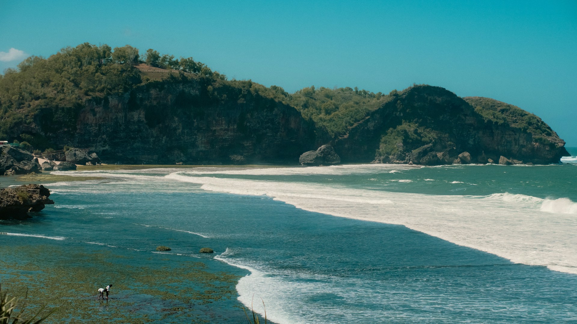 Fernando de Noronha 6
