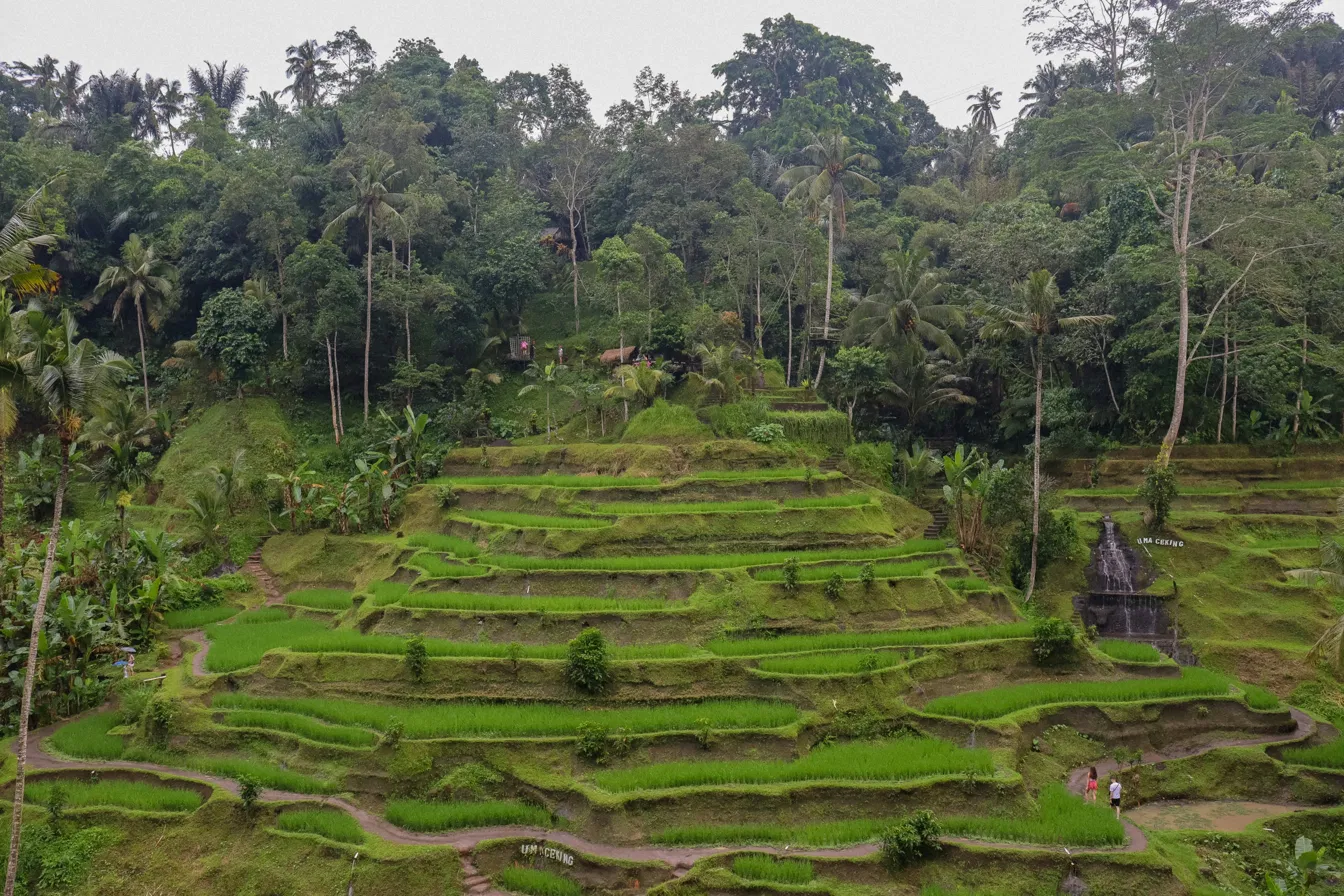Bali