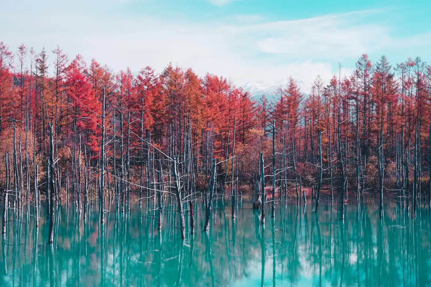 Hokkaido