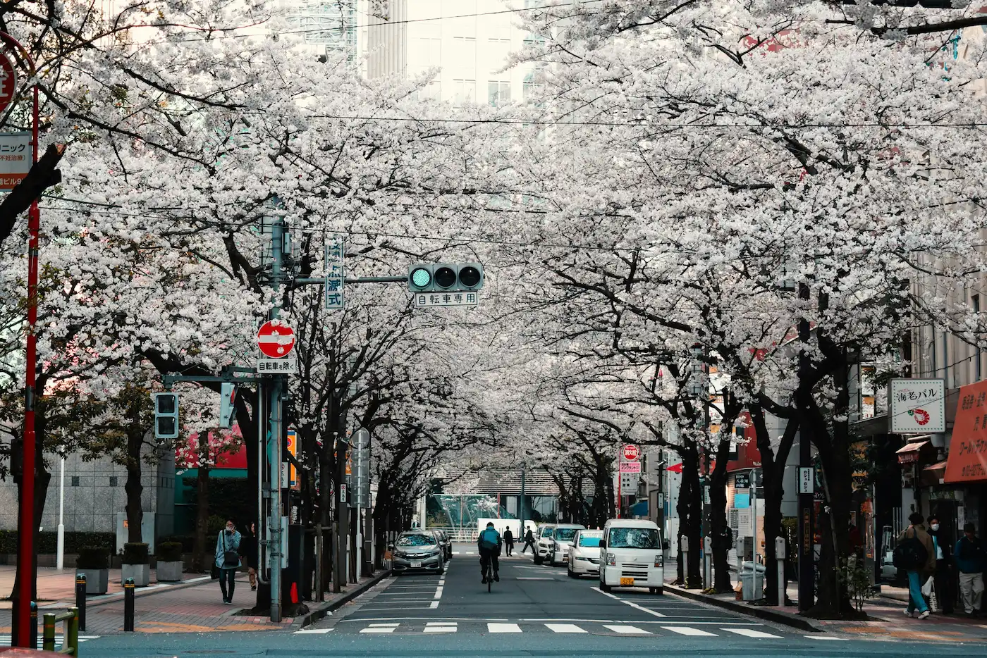 Sakura, Tokio